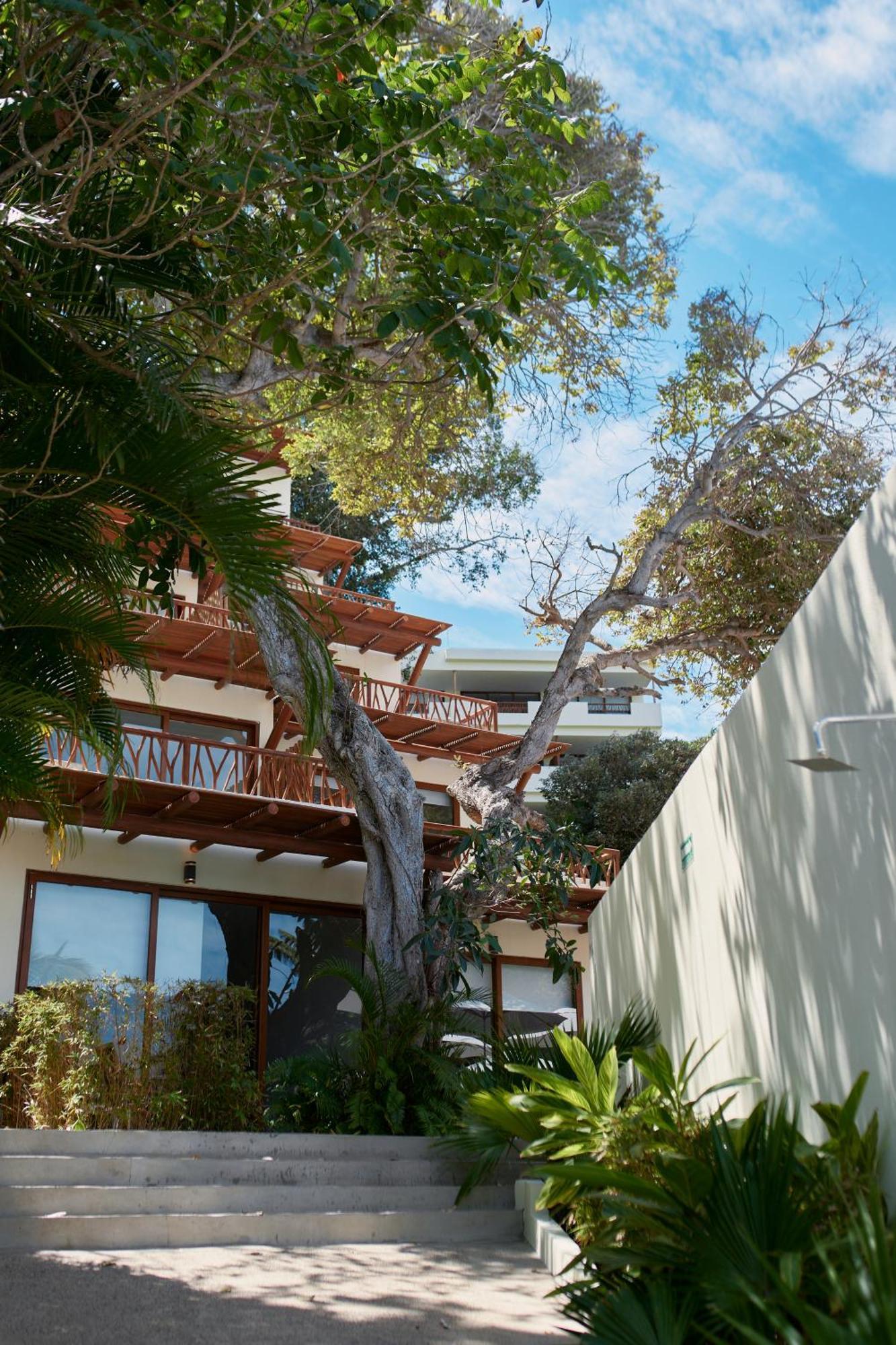 Ysuri Sayulita - Beachfront Hotel Ngoại thất bức ảnh